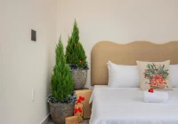 Villa hồ bơi bãi sau Vũng Tàu dạng trệt không lầu - VT33PHI