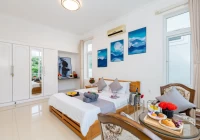 Villa Vũng Tàu cách bãi sau 200m gồm 6 phòng ngủ có hồ bơi, bàn bida và sân nướng BBQ – VT15