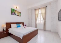 Villa Mini Vũng Tàu có hồ bơi, bàn bida và sân nướng BBQ  - VT12ELLQ
