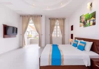 Villa Mini Vũng Tàu có hồ bơi, bàn bida và sân nướng BBQ  - VT12ELLQ