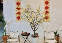 Villa bãi sau Vũng Tàu có hồ bơi  dạng trệt không lầu - VT3BLLQ