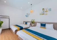Villa bãi sau Vũng Tàu có hồ bơi  dạng trệt không lầu - VT3BLLQ